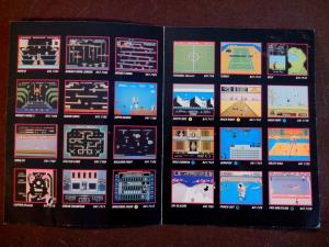 Brochure NES Suisse (2)